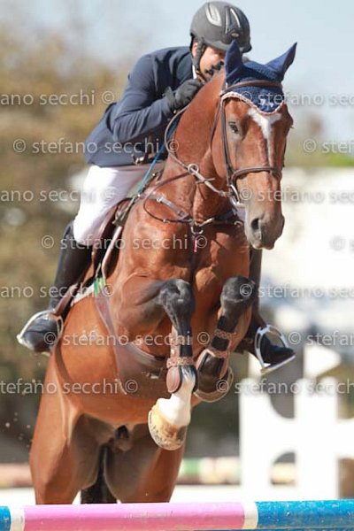 SPANO_KING_GIO CAV 2011_SS3_6914.jpg